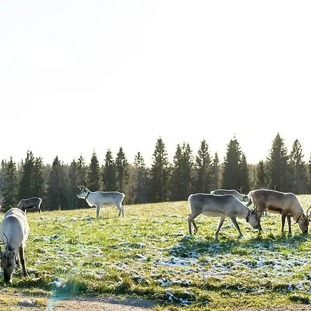 - Rising Sun With 3 Bedrooms, Loft, Sauna And Balcony With A View 公寓 鲁卡